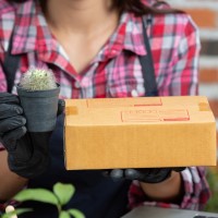 Ekologické balenie rastlín – šetríme prírodu aj pri doručovaní | Maxgarden