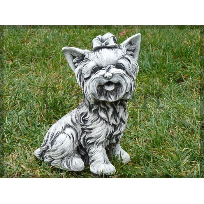 Psík yorkshire A200A