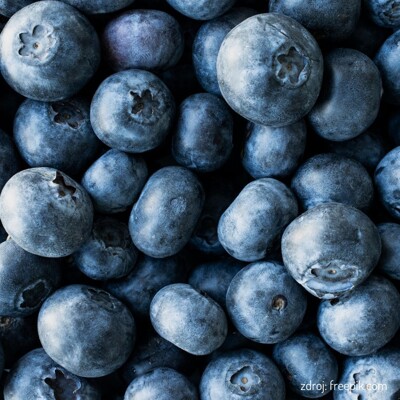 Vaccinium corymbosum ‘Ama Rood’ – kanadská čučoriedka s veľkými plodmi