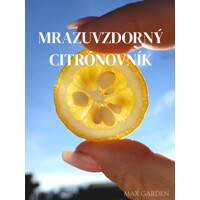 Poncirus trifoliata – Predaj, mrazuvzdorný citrónovník, jedlý, voňavé kvety