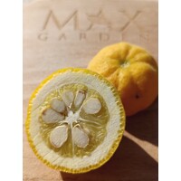 Poncirus trifoliata – Predaj, mrazuvzdorný citrónovník, jedlý, voňavé kvety