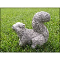 Malá veverička 238