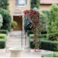 Kovový oblúk na popínavé rastliny 240x140x38cm