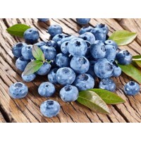 ?u?oriedky - Vaccinium corymbosum ´Duke´-  30/40cm