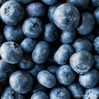 ?u?oriedka - Vaccinium corymbosum  ´Herbert´ - 40/60cm