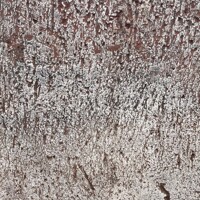 Kamenná studňa VELENCE