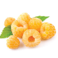 Malina žltá BALKÓNOVÁ - Rubus idaeus 'Goodasgold' - 40cm